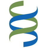 Brighton and Sussex (BSMS) logo